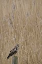 BUITEN BEELD Foto: 22751