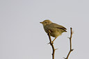 BUITEN BEELD Foto: 22775