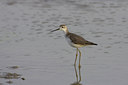 BUITEN BEELD Foto: 22782
