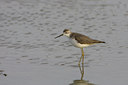 BUITEN BEELD Foto: 22783