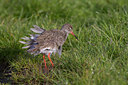 BUITEN BEELD Foto: 22830