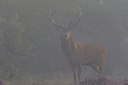BUITEN BEELD Foto: 22850