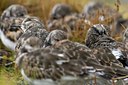 BUITEN BEELD Foto: 22911