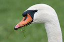 BUITEN BEELD Foto: 22918
