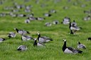 BUITEN BEELD Foto: 22934