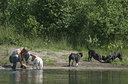 BUITEN BEELD Foto: 22937