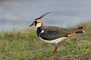 BUITEN BEELD Foto: 22941