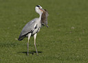 BUITEN BEELD Foto: 22965