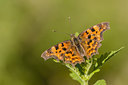 BUITEN BEELD Foto: 229010