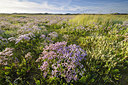 BUITEN BEELD Foto: 229071