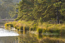 BUITEN BEELD Foto: 229077