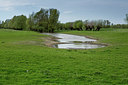 BUITEN BEELD Foto: 229137