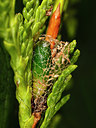 BUITEN BEELD Foto: 229190