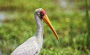 BUITEN BEELD Foto: 229254