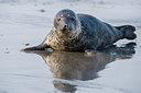 BUITEN BEELD Foto: 229260