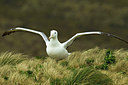 BUITEN BEELD Foto: 229272