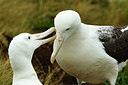 BUITEN BEELD Foto: 229273