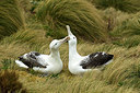 BUITEN BEELD Foto: 229274