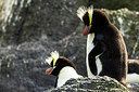 BUITEN BEELD Foto: 229282