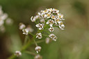 BUITEN BEELD Foto: 229304