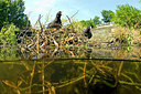 BUITEN BEELD Foto: 229400