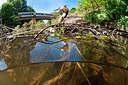 BUITEN BEELD Foto: 229406