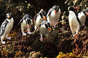 BUITEN BEELD Foto: 229446