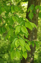 BUITEN BEELD Foto: 229449