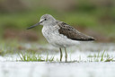 BUITEN BEELD Foto: 229450