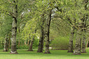 BUITEN BEELD Foto: 229451