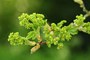 BUITEN BEELD Foto: 229452