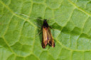 BUITEN BEELD Foto: 229476