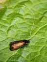 BUITEN BEELD Foto: 229477