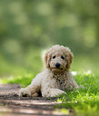 BUITEN BEELD Foto: 229479
