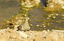 BUITEN BEELD Foto: 229486