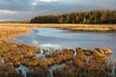 BUITEN BEELD Foto: 229543