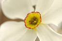 BUITEN BEELD Foto: 229567