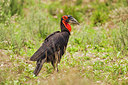 BUITEN BEELD Foto: 229590