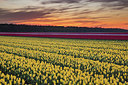 BUITEN BEELD Foto: 229666