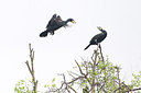 BUITEN BEELD Foto: 229673