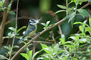 BUITEN BEELD Foto: 229677
