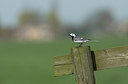 BUITEN BEELD Foto: 229679