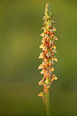 BUITEN BEELD Foto: 229682