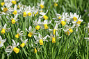 BUITEN BEELD Foto: 229715