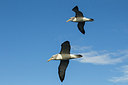 BUITEN BEELD Foto: 229741