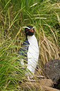 BUITEN BEELD Foto: 229758