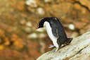 BUITEN BEELD Foto: 229760
