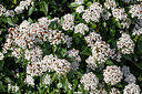 BUITEN BEELD Foto: 229761