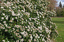 BUITEN BEELD Foto: 229767