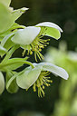 BUITEN BEELD Foto: 229784